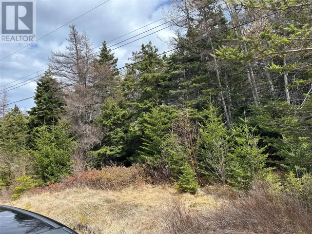 83-84 Conception Bay Highway, Colliers, Newfoundland & Labrador A0A1Y0