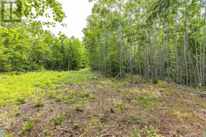 River Road, Churchville, Nova Scotia B2H5C5