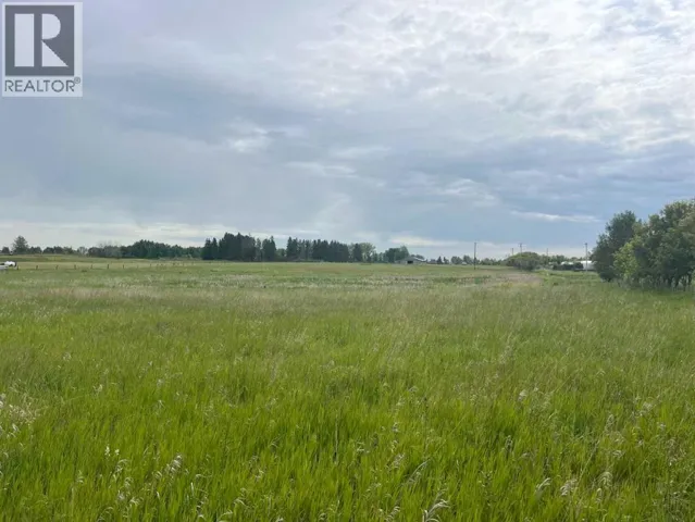 226018 76 Street E, Rural Foothills County, Alberta T1S3W2