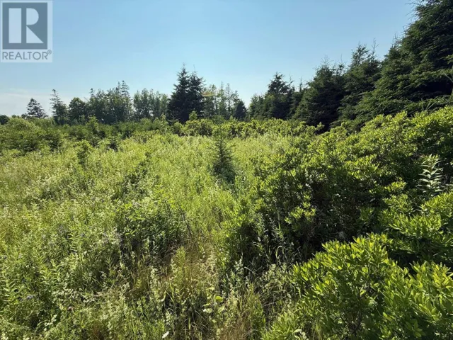46 Sheri Court, Birch Hill, Prince Edward Island C0B2C0