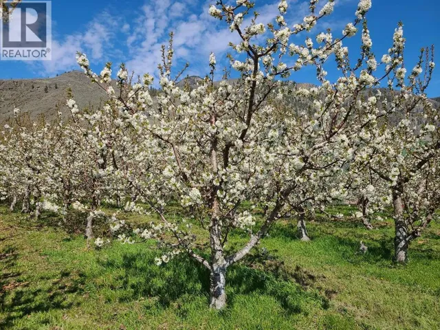 2626 MIDDLE BENCH Road, Keremeos, British Columbia V0X1N2