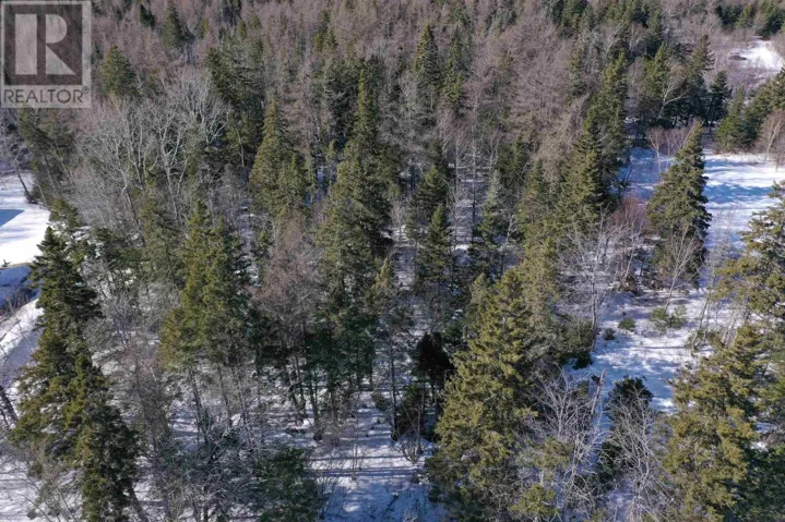 Highway 4, Cleveland, Nova Scotia B0E1J0
