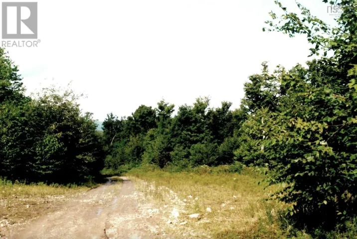 Lots 2 & 3 Big Brook Road, Big Brook, Nova Scotia B0E2Y0