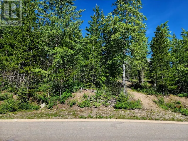 7 DEMPSEY Place, Elkford, British Columbia V0B1H0