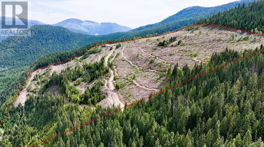 Quartz Creek Forest Service Road Road Lot# Parcel A, Ymir, British Columbia V0G2K0