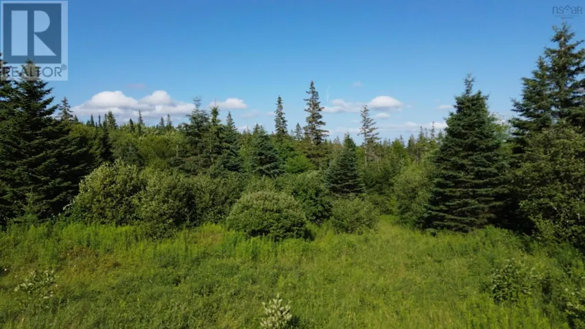 Black River Road, Grande Anse, Nova Scotia B0E1V0