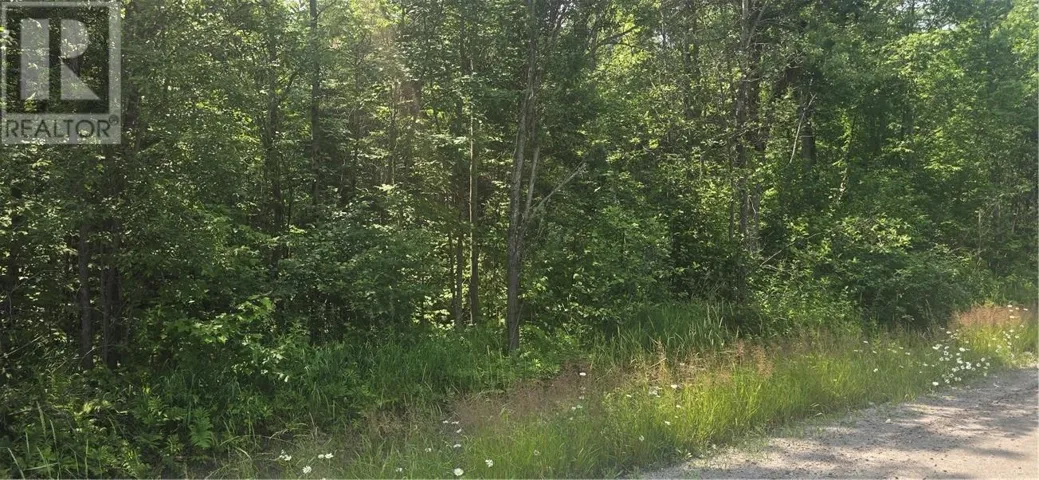 TBD FOREST HILL ROAD, Monetville, Ontario None