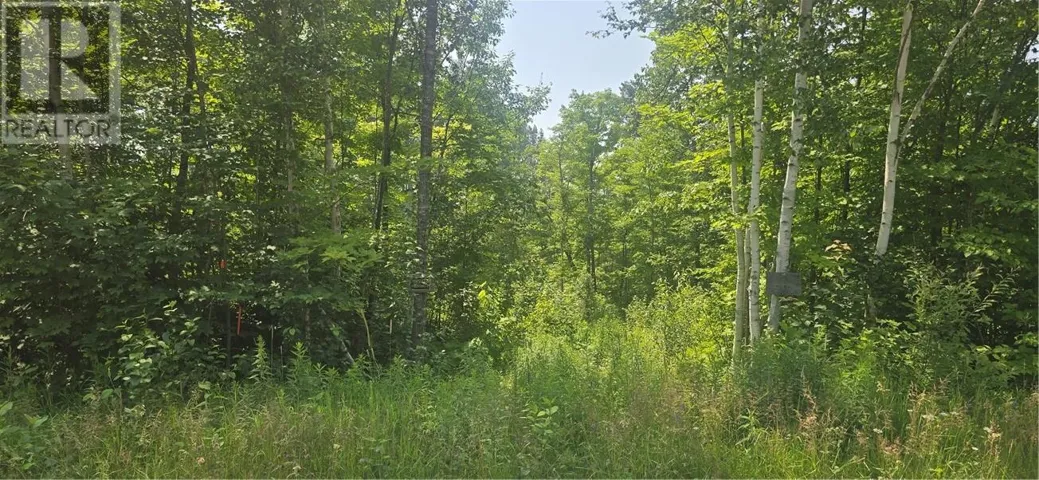 TBD FOREST HILL ROAD, Monetville, Ontario P0M2K0