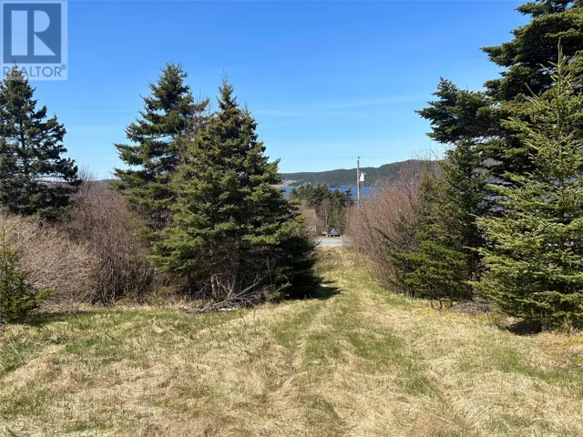0 MAIN Road, LOWER LANCE COVE, Newfoundland & Labrador A5A1A1