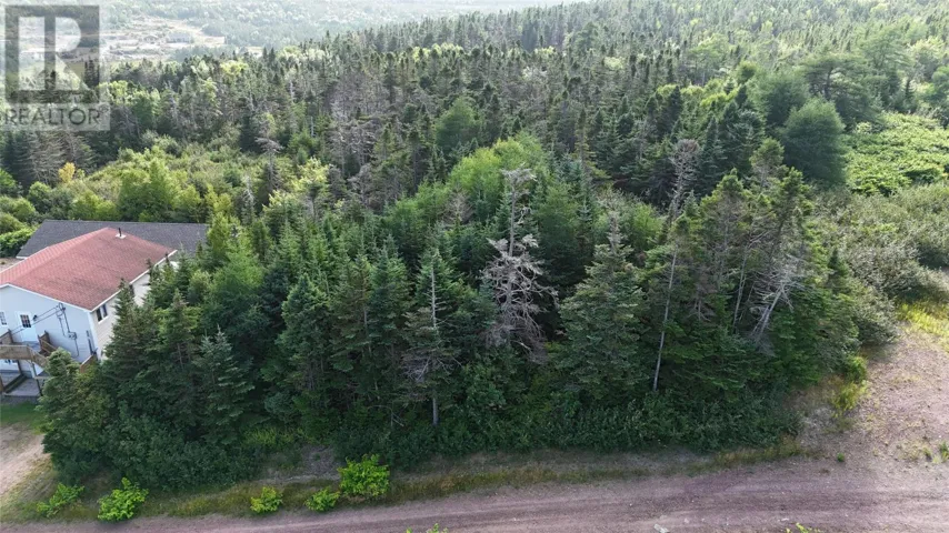 100C Main Street, Lewin's Cove, Newfoundland & Labrador A0E2G0