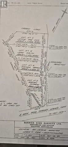 100C Main Street, Lewin's Cove, Newfoundland & Labrador A0E2G0