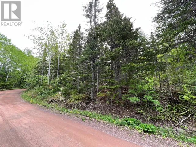 113 Askels Cove Road, Western Arm, Point Leamington, Newfoundland & Labrador A0H1Z0
