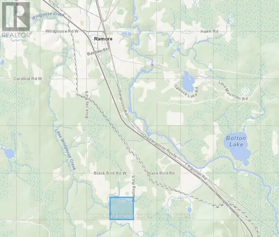 PL 4769 & PL 17474 CON 2 PLAYFAIR, Black River Matheson (Matheson), Ontario P0K1R0