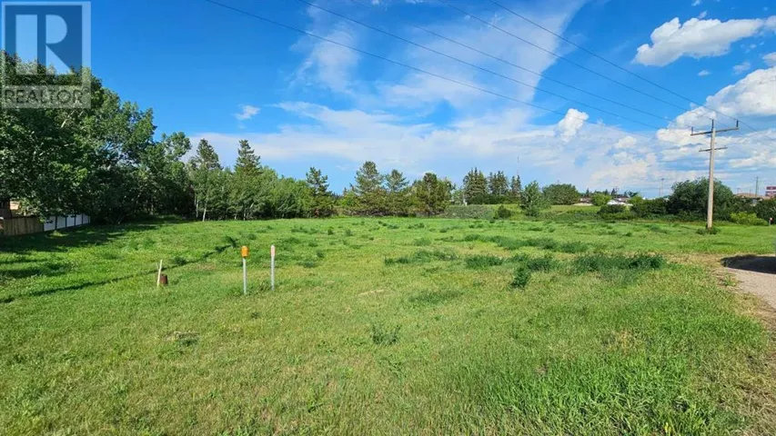 4325 48 Avenue, Castor, Alberta T0C0X0