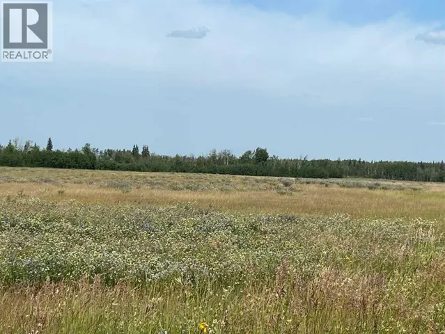 NE 26 78 7 W6, Rural Saddle Hills County, Alberta T0H3G0