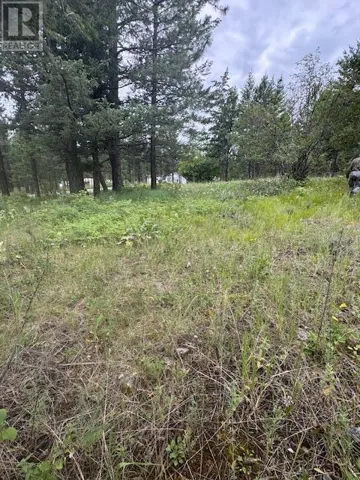 Lot 53 Hirtz Street, Elko, British Columbia V0B1T3