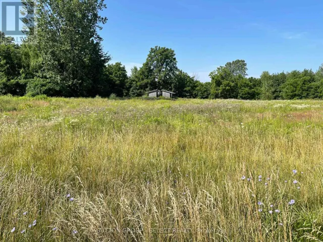 180 JANE STREET, West Elgin (Rodney), Ontario N0L2C0
