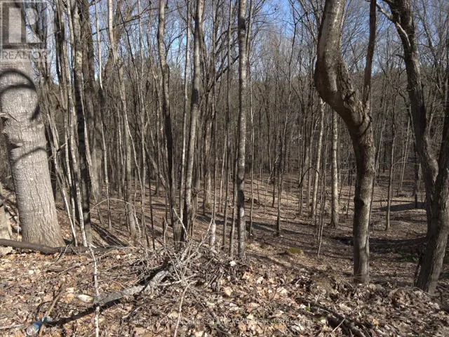 0 SOUTH MUSKOKA DRIVE, Bracebridge (Macaulay), Ontario P1L1M4