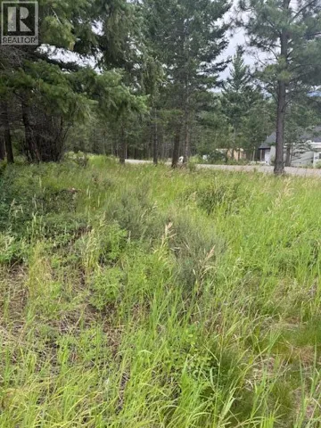 Lot 56 Charles Street, Elko, British Columbia V0B1T3