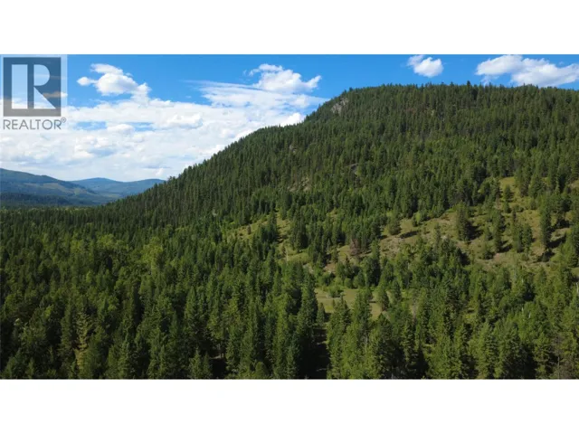 NW1/4, Edgewood, British Columbia V0H1Z8
