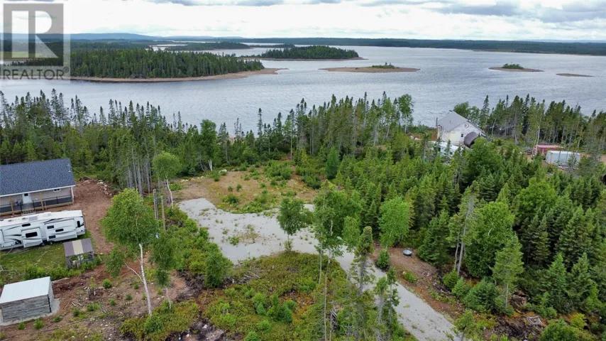 Lot 13 Birchy Cove Road, Howley, Newfoundland & Labrador A0K3E0