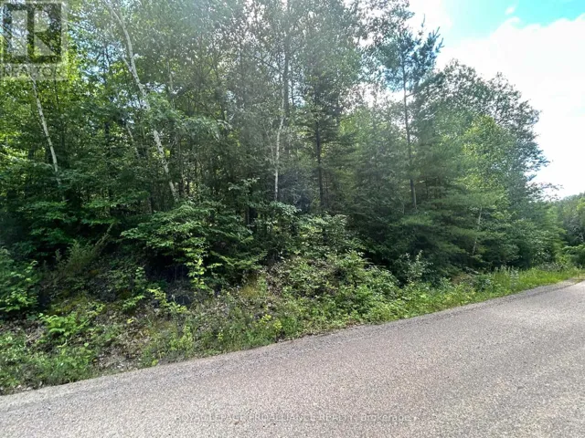 0 TREBBIEN ROAD, Bonnechere Valley, Ontario K0J1T0