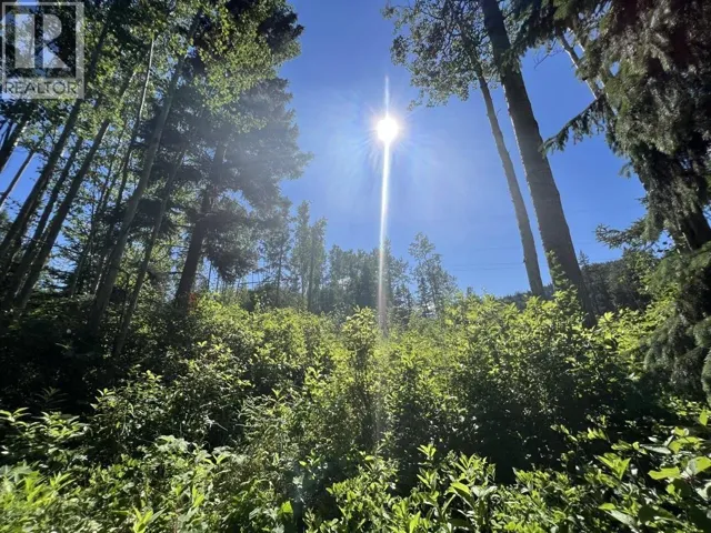 1 3000 DAHLIE ROAD, Smithers, British Columbia V0J2N4