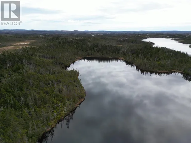 Lot #210 Fifth Island Pond, Deer Park, Newfoundland & Labrador None