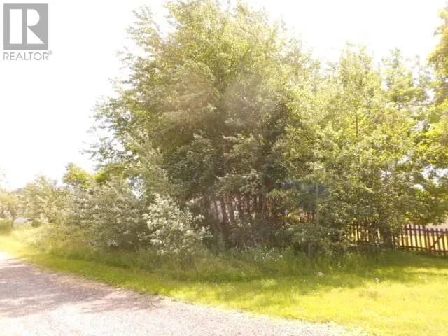 2-A Larch Street, Springdale, Newfoundland & Labrador A0J1T0