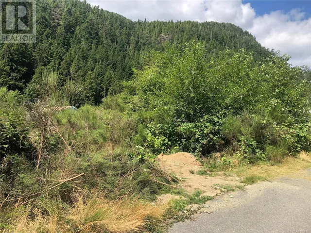 9 Freda Rd, Tahsis, British Columbia V0P1X0