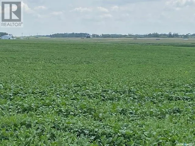 Ferguson land, Moosomin Rm No. 121, Saskatchewan S0G3N0