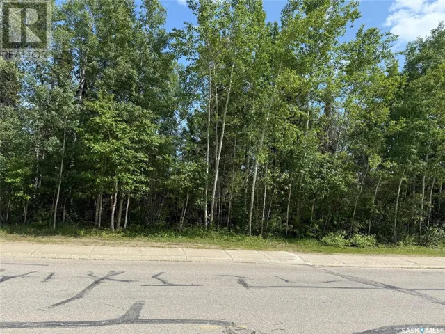 1307 Studer STREET, La Ronge, Saskatchewan S0J1L0
