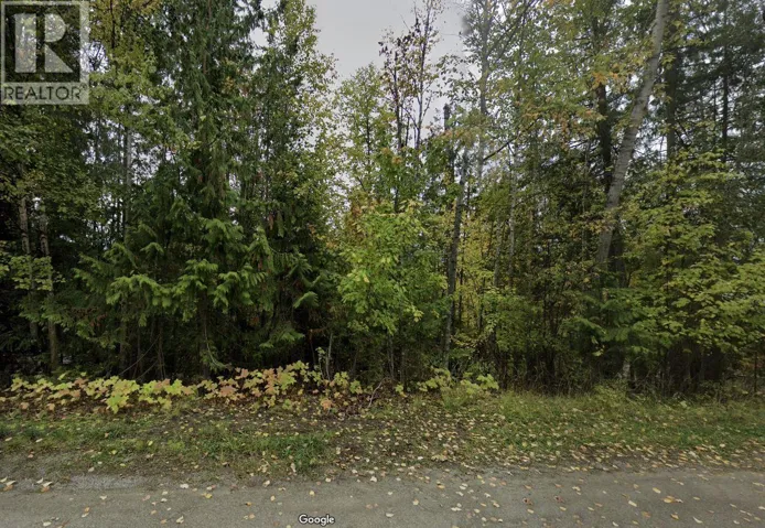 Stampede Trail Lot# 231, Anglemont, British Columbia V0E1M8