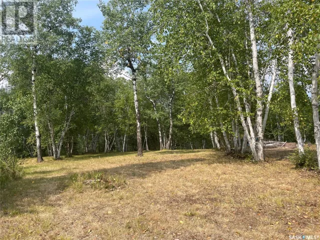 Andrews WAY, Big River Rm No. 555, Saskatchewan S0J0E0