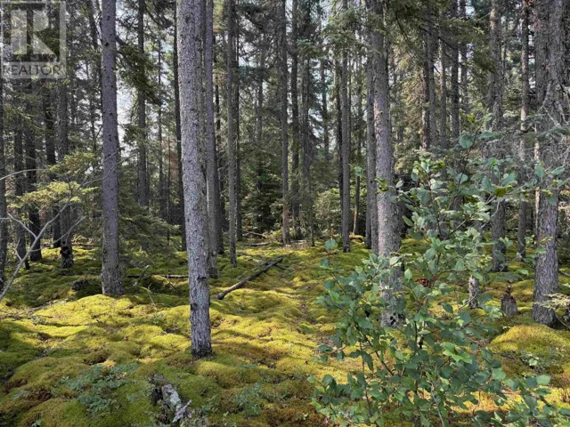 LOT 1 Kinger Road, Kenora, Ontario P9N0E4