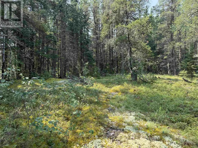 LOT 2 Kinger Road, Kenora, Ontario P9N0E4