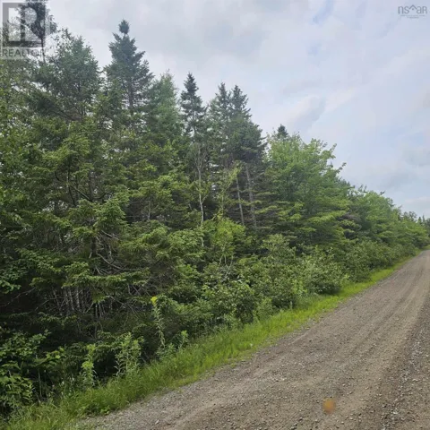 - Alder Road, Dutch Brook, Nova Scotia B1M1B2