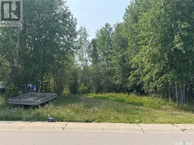 912 Quandt CRESCENT, La Ronge, Saskatchewan S0J1L0