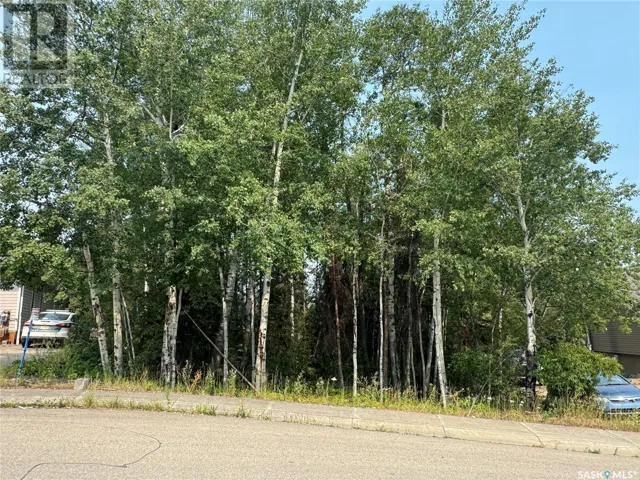 988 Thompson CRESCENT, La Ronge, Saskatchewan S0J1L0