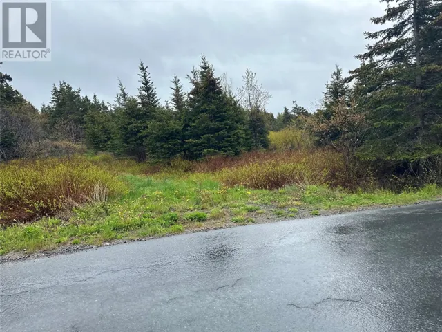 28-34 Conrans Road, Chapel's Cove, Newfoundland & Labrador None