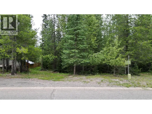 39 Douglas Crescent, Elkford, British Columbia V0B1H0