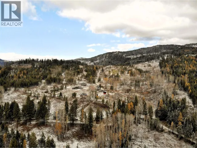 1827S MORRISSEY CREEK Road, Grand Forks, British Columbia V0H1H2