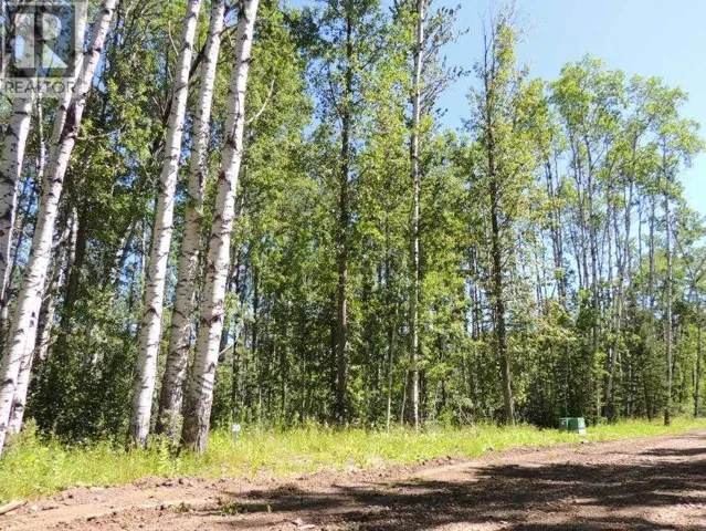 Lot #20 Wapiti River SW-21-69-10-W6, Rural Grande Prairie No. 1, County of, Alberta T0h1J0