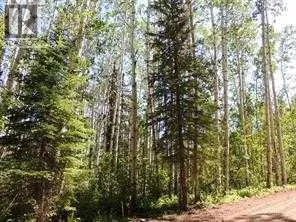 Lot #10 Wapiti River SW-21-69-10-W6, Rural Grande Prairie No. 1, County of, Alberta T0H1J0