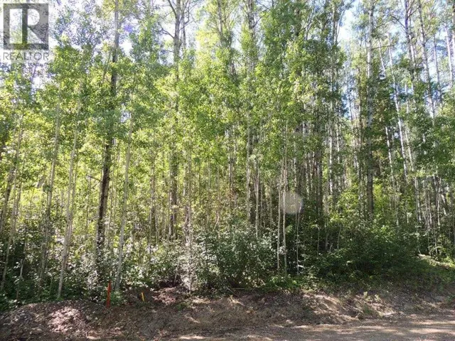 Lot #11 Wapiti River SW-21-69-10-W6, Rural Grande Prairie No. 1, County of, Alberta T0H1J0