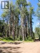 Lot #7 Wapiti River SW-21-69-10-W6, Rural Grande Prairie No. 1, County of, Alberta T0H1J0