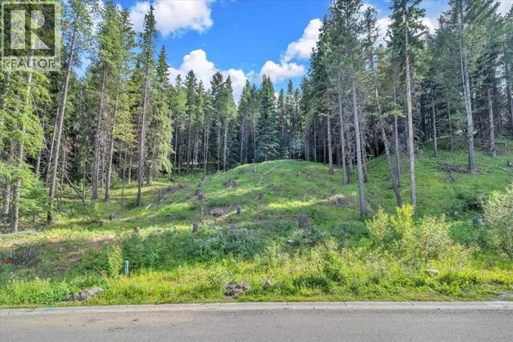 262 Southmore Place, Blairmore, Alberta T0K0E0