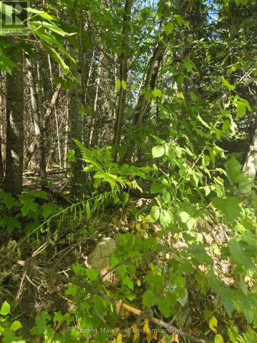 0 MACDUFF ROAD ACRES E, Highlands East (Monmouth), Ontario K0L3C0