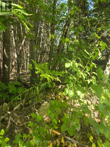 0 MACDUFF ROAD ACRES E, Highlands East (Monmouth), Ontario K0L3C0