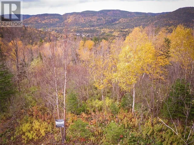 LOT 7 Adventure Drive, Hughes Brook, Newfoundland & Labrador A2H4A1